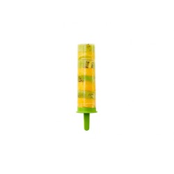 1 Moule Spcial Brochette de Fruits Glacs. n5
