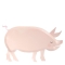 12 Assiettes Ferme - Cochon images:#0