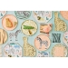 8 Assiettes Gupard - Savane. n2