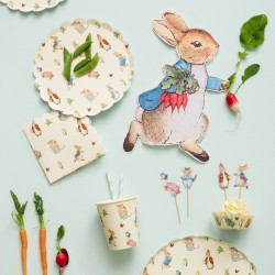 12 Assiettes Lapin - Pierre Rabbit. n1