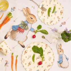 12 Assiettes Lapin - Pierre Rabbit. n4