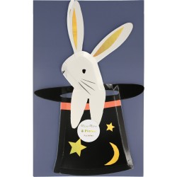 8 Assiettes Lapin Magie. n1