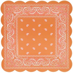8 Assiettes Western Bandanas. n1