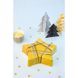 Kit G�teau Etoile. n�2