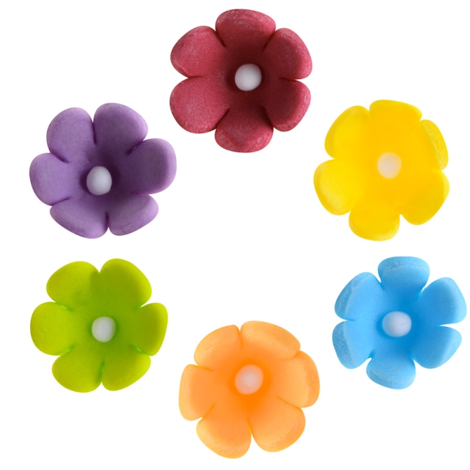 10 Minis Fleurs Colors 