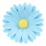 1 Fleur Marguerite Bleue 3D (3.5 cm) - Sucre