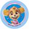 12 Stickers à Biscuits Pat Patrouille (5,5 cm) - Sucre images:#2