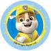 12 Stickers  Biscuits Pat Patrouille (5,5 cm) - Sucre. n7