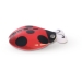 4 Coccinelles (4cm) - Sucre. n6