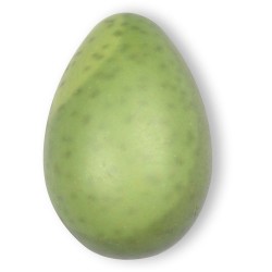 4 Avocats 2D � Chocolat blanc. n�5