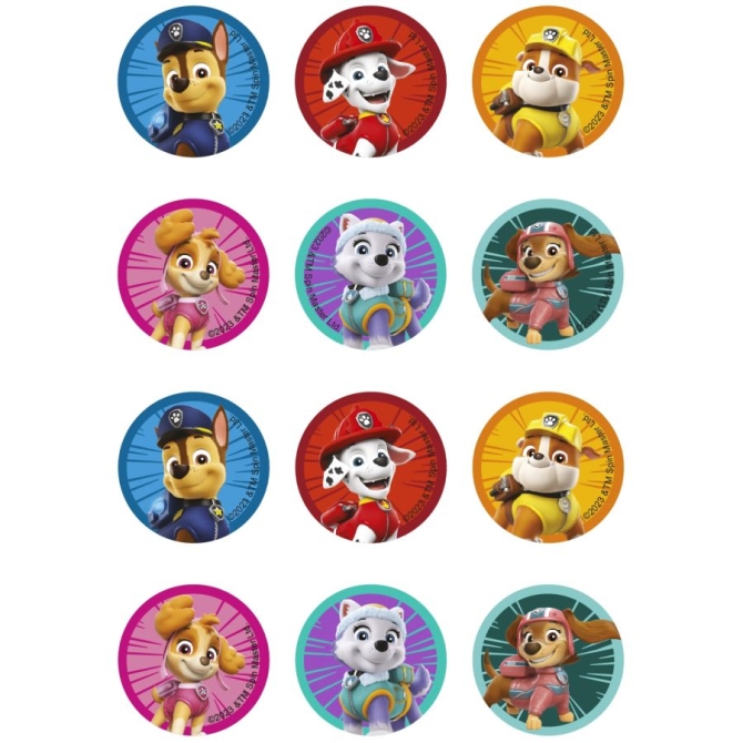 12 Stickers  Biscuits Pat Patrouille (5, 8 cm) - Sucre 