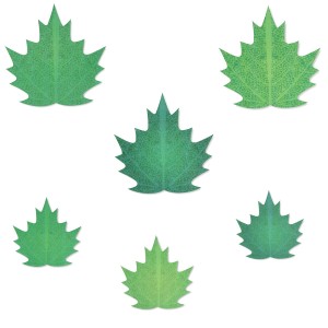 Set de 6 Feuilles Azyme - Printemps