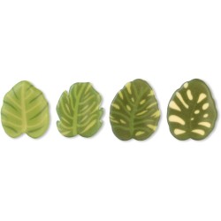 Assortiment de 4 Feuilles  3, 4 cm  Chocolat blanc. n1