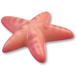 Assortiment de 3 Dcors Marins  Chocolat blanc. n11
