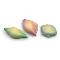 3 Coquillages  Chocolat blanc