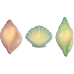 3 Coquillages  Chocolat blanc. n1