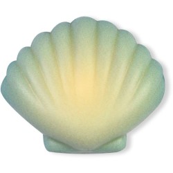 3 Coquillages  Chocolat blanc. n2