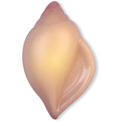 3 Coquillages  Chocolat blanc. n3