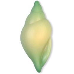 3 Coquillages  Chocolat blanc. n4