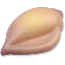 3 Coquillages  Chocolat blanc. n6