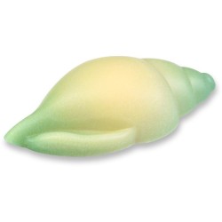 3 Coquillages  Chocolat blanc. n8