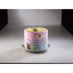 3 Coquillages  Chocolat blanc. n9