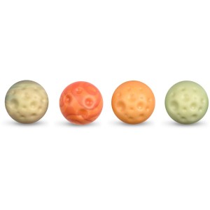 Assortiment de 4 Plantes   2,6 cm  Chocolat blanc