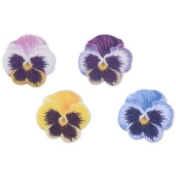 4 Petites Penses   3, 2 cm  Azyme. n1