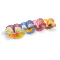 2 Grandes Penses   7 cm  Azyme