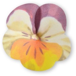 2 Grandes Penses   7 cm  Azyme. n1