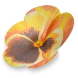 2 Grandes Penses   7 cm  Azyme. n5