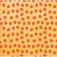 1 Feuille de Transfert - Fraises