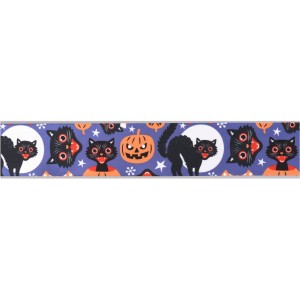 Ruban Halloween (4cm - 1m)