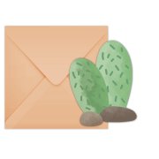 6 Invitations Cactus Lama Birthday