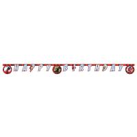 Contient : 1 x Guirlande Happy Birthday Lady Bug