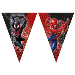 Maxi Bo�te � f�te Spiderman Crime Fighter. n�4