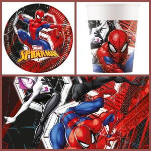 Bo�te � f�te Spiderman Crime Fighter