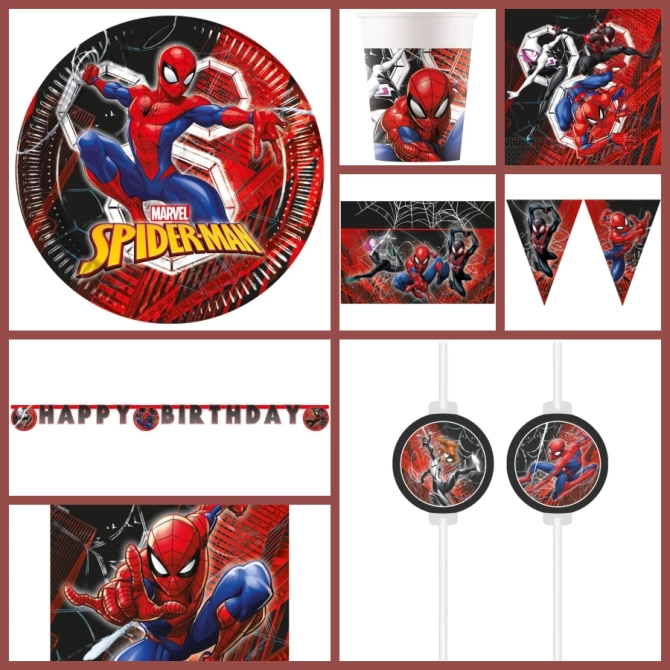 Maxi Bo�te � f�te Spiderman Crime Fighter 