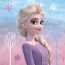 Contient : 1 x 20 Serviettes Frozen 2 Wind Spirit