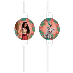 Maxi Boîte à fête Vaiana 2. n°7