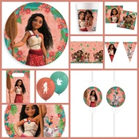 Maxi Bo�te � f�te Vaiana 2