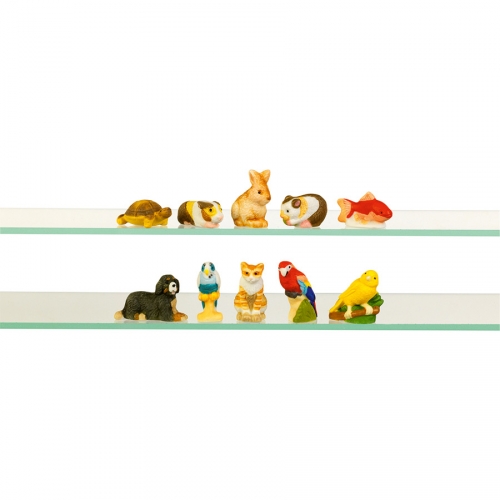 1 Fve Animal de Compagnie 