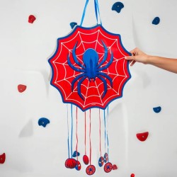 Pull Pinata Spider - 1er Prix. n°1