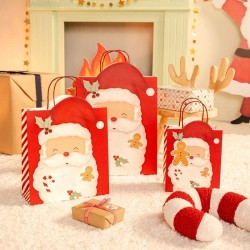 Petit Sac Cadeau de Noël Père Noël - 24 cm. n°1