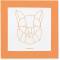 Kit Cratif - Mes Cadres Origami images:#0