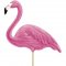 6 Pics Flamant Rose Maxi images:#1