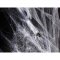 Toile d'Araignée Blanche (60 g) images:#2
