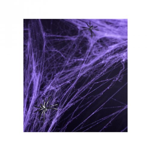Toile d Araigne Violet (60 g) 