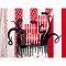 5 Maxi Pics Dco Pirate Le Rouge images:#1
