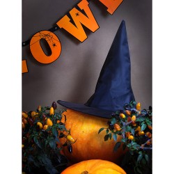 1 Chapeau de Sorcière - Halloween. n°1